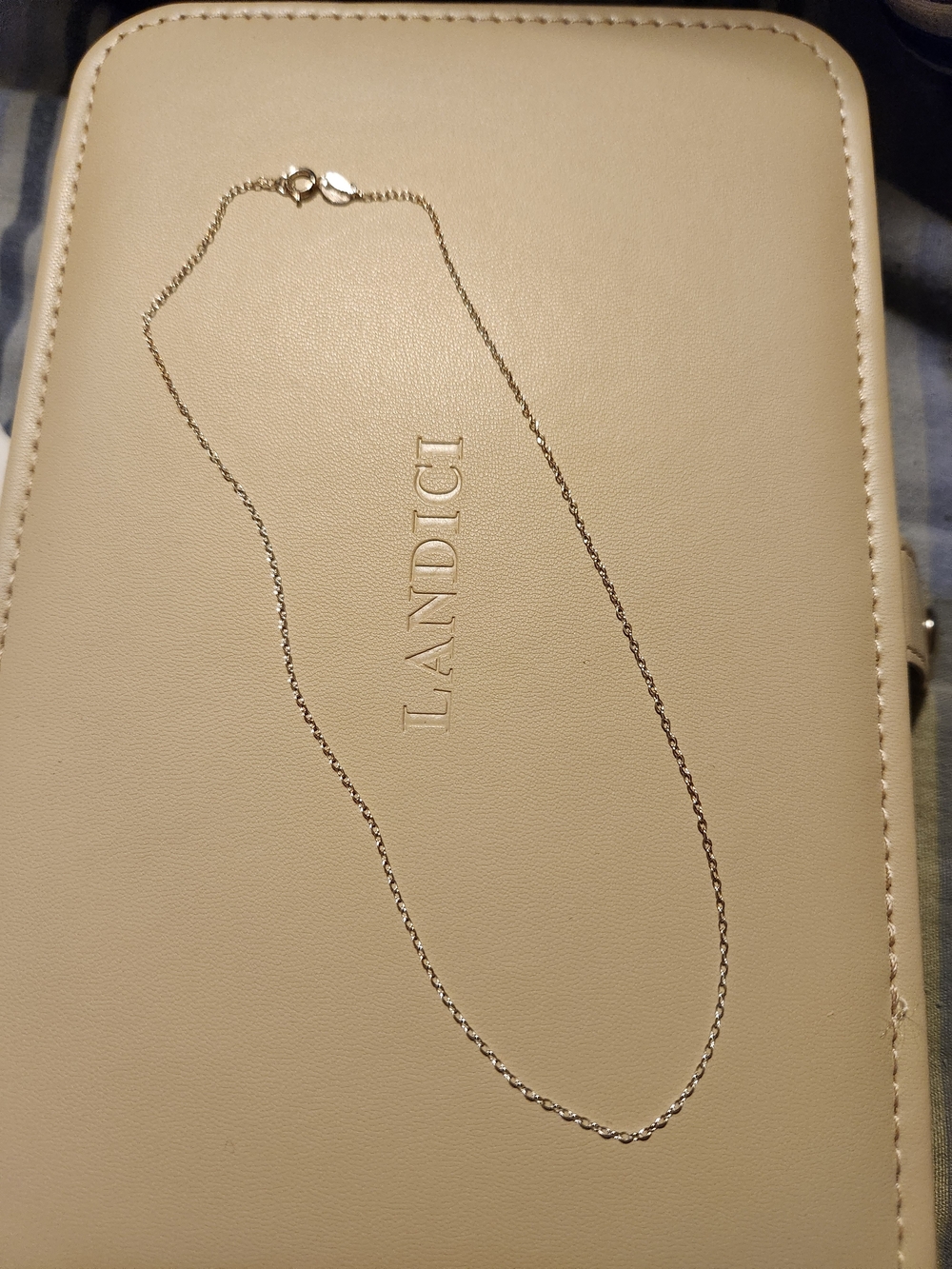 Silver Chain Necklace - Delicate Women's Jewelry